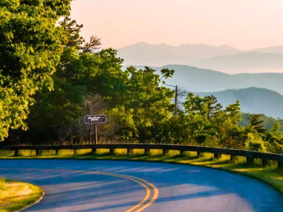 A road entering tree coverage on a bend overlooking misty hills in the background