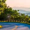 A road entering tree coverage on a bend overlooking misty hills in the background